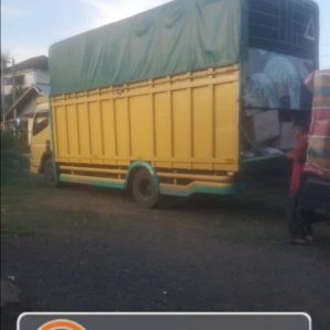 Foto Truck pakuanlogistic (2)