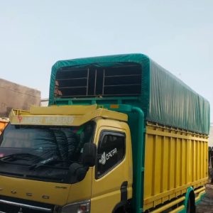Foto Truck pakuanlogistic (3)