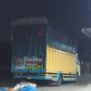 Foto Truck pakuanlogistic (4)